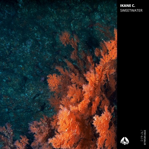Ikane C. - Sweetwater