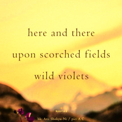 [naviarhaiku582] scorched fields