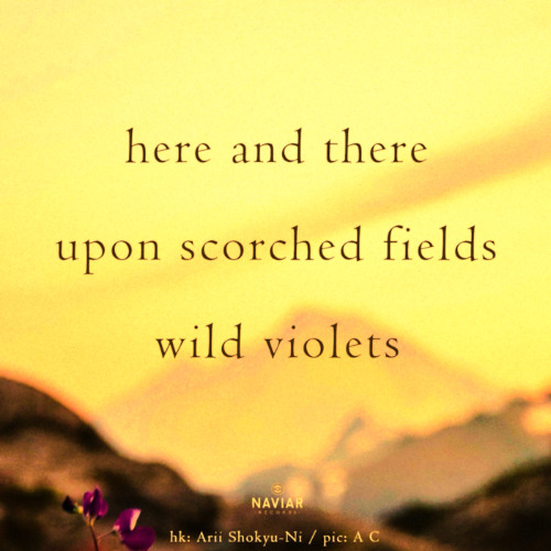 [naviarhaiku582] scorched fields