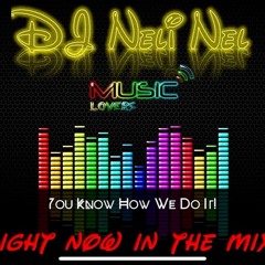 DJ Neli Nel SDR Hot Mix 010722