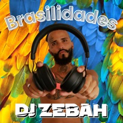 BRASILIDADES