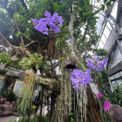 Beautiful Day - Jank