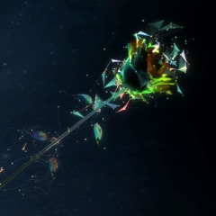 Dive