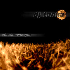 She Knows You (Radio Mix)