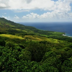 Rota Forest, Rota, Northern Mariana Islands