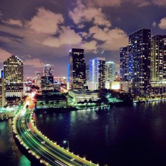 ''(" LOFI010 ")" - DJ Hoshino [GBR]