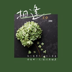 相逢 (治愈版)