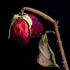 J’pense qu’à disparaitre feat Toxyz