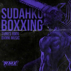 SUDAH KU BOXXING [TUNES RMX X DXNNI MUSIC] #DUTCH #BOXXING