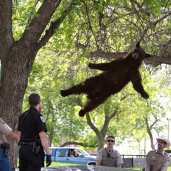 jumpin (feat. Allure)