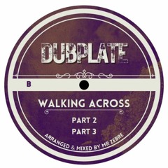 Polyvinyl Dubplate 5 - Side B - Walking Across Part 1, 2, 3 (clip)