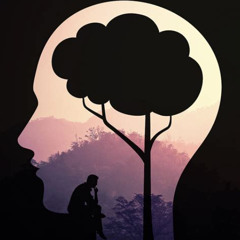Mindful /w Klasy