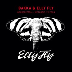 BAKKA (BR) & Elly Fly - Introspectral / Methodic // Ellyfly004 [OUT NOW]