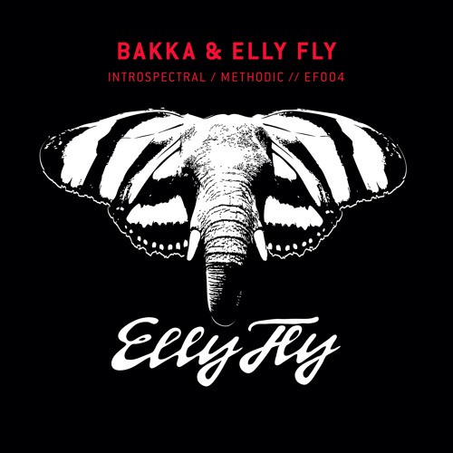 BAKKA (BR) & Elly Fly - Introspectral / Methodic // Ellyfly004 [OUT NOW]