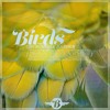 Download Video: Birds