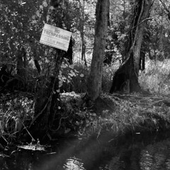 SINK Episode 4::It Belongs to You