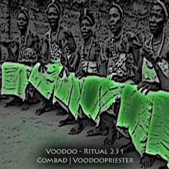 Combad | Voodoopriester -- Voodoo - Ritual 231 @ Fnoob - Techno Radio