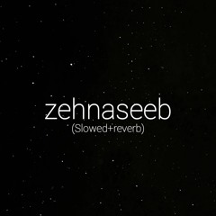 zehnaseeb (slowed+reverb)