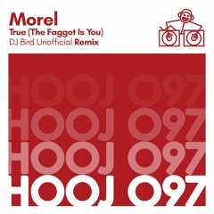 Morel - True (Dj Bird Unofficial Remix) [Free Download]