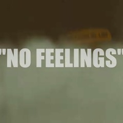 WOODHULL BABIES(WHB) Jay BDz X MHG Zaya & MHG Dell - No Feelings *video in description