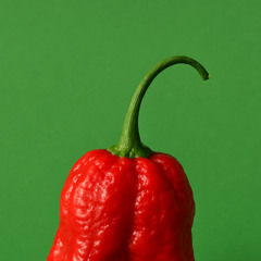 LEVRETTE OU MISSIONNAIRE | HARD TECHNO REMIX | TABASTØUN (FREE DOWNLOAD)