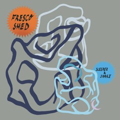 Sleeper & Snake - 'Reach Out'