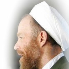 Sheikh Nuh Keller   Latifiyya Zikr