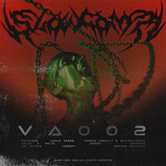 SLOW COMA VARIOUS ARTISTS 002
