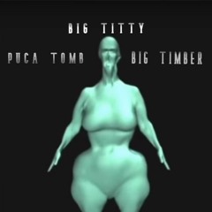 BIG TITTY REMIX feat. BIG TIMBER