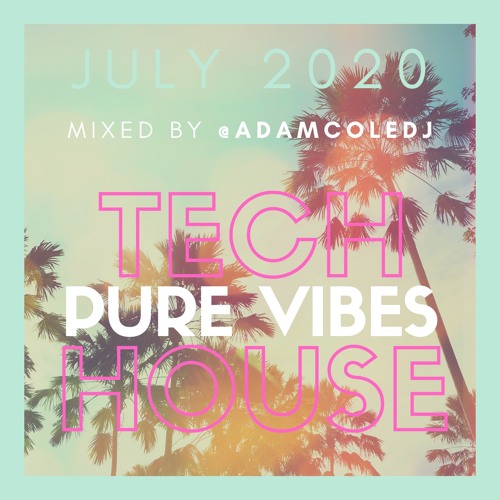 Lockdown - Tech House Mix PURE VIBESSSS