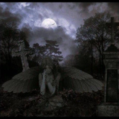 fallen angels (p. extvhcy)