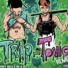 Trip Tonic (Remix) harry nach ft. Ak420