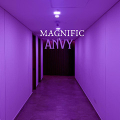 Magnific - Anvy