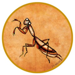 Portal Creature Meditation - Mantis