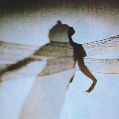 no regrets just love