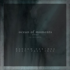Ocean of Moments (live) feat. Paul Pelc - for Ecclesia