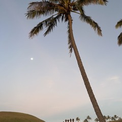 🌛