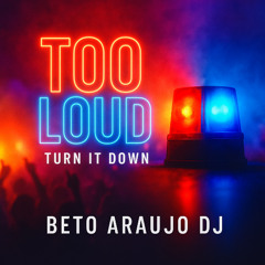 Too loud - Remix