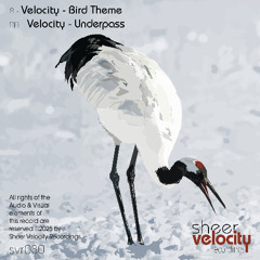 SVr080A - Velocity - Bird Theme