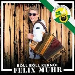 Felix Muhr - Böll Böll Kernöl ( Steve Aitch remix)