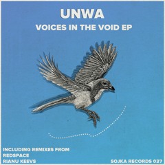 UNWA - Voices In The Void (Redspace Remix) [Preview]