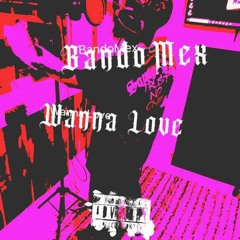 Wanna Love