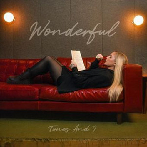 Wonderful Tones And I I think you're wonderful If you could only see you through my eyes And know th