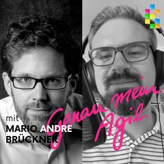 Genau Mein Agil Podcast - #53 Scheitern Agiler Transformationen