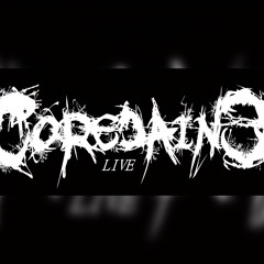 CoreCaine @ Speedcore Demo Set (2014)