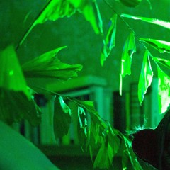 Xmas im Dickicht live @ Flüstersalon 2021-12-18