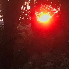 Deep - Mnml - Melodic - Organic - Chill - Downbeat