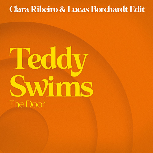 Teddy Swims - The Door (Clara Ribeiro & Lucas Borchardt Edit)