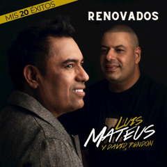 Falso Amor - Renovado