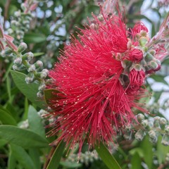 spotkanie z matka.mp3